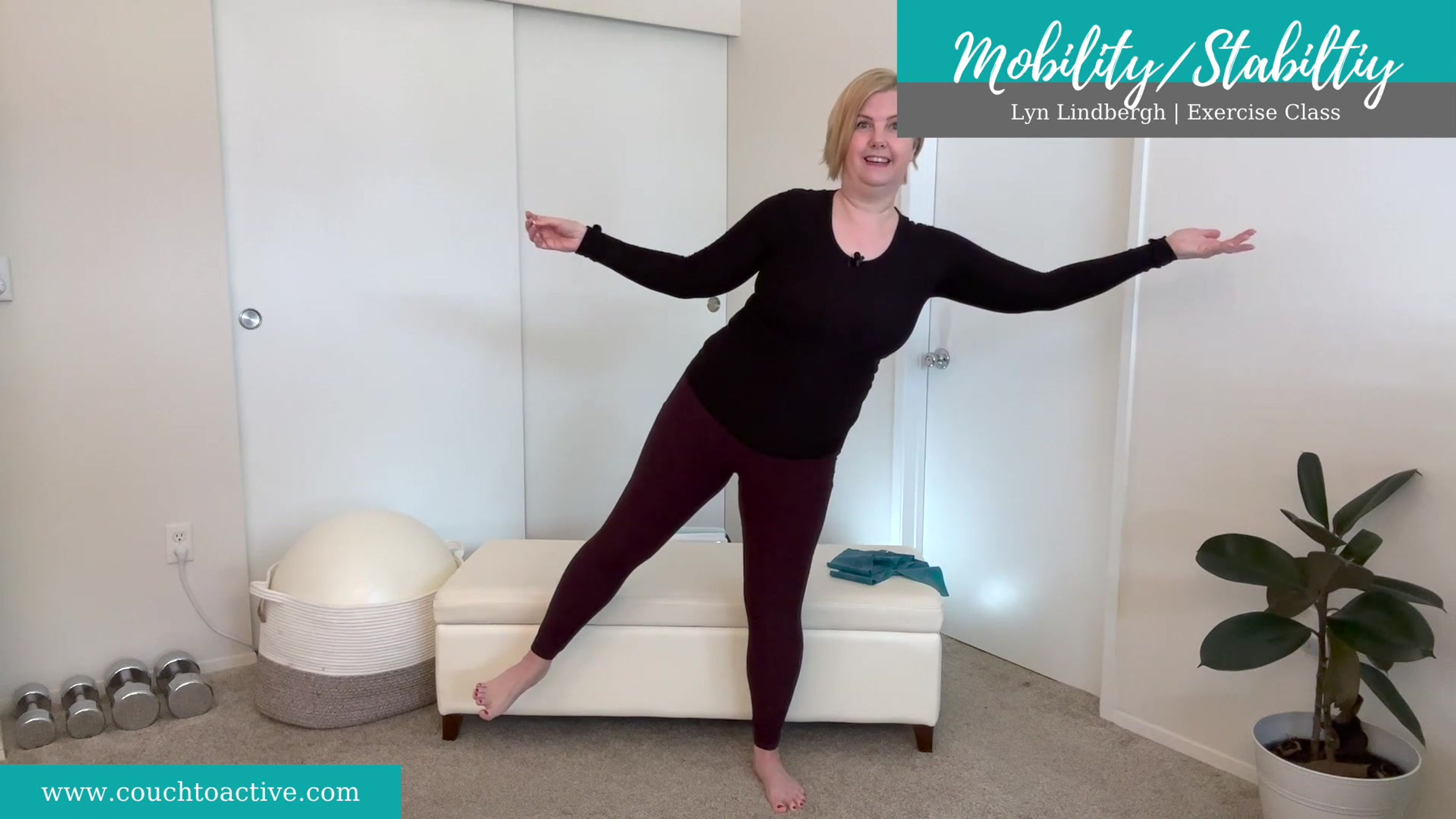 Mobility and Stability (6) wrists, hands, neck, stretchy band